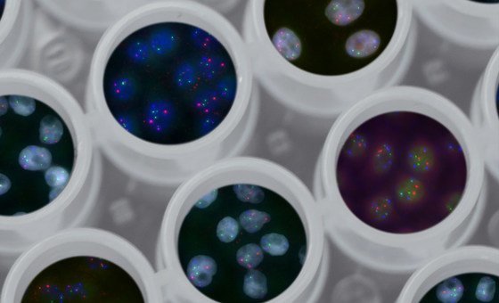 OMS pede uso mais inclusivo da genômica em pesquisas clínicas